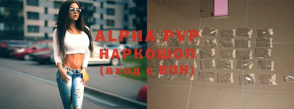 мдпв Верея