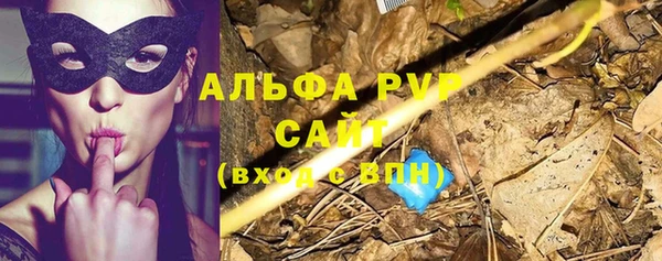 мдпв Верея