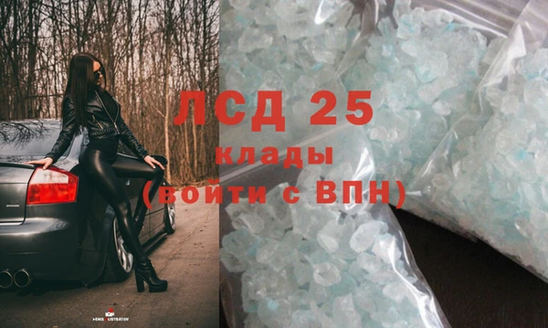 крисы Вязьма