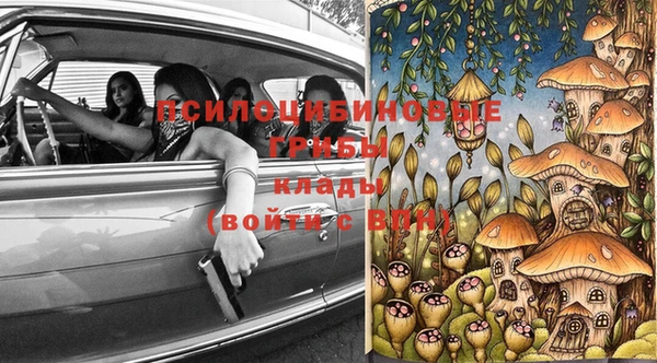 мдпв Верея
