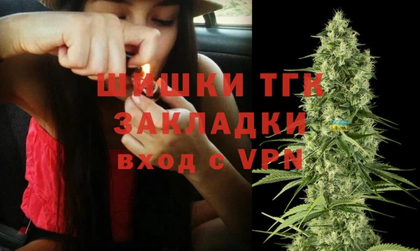 ПСИЛОЦИБИНОВЫЕ ГРИБЫ Вяземский