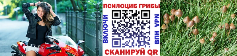 Галлюциногенные грибы Magic Shrooms  Волчанск 